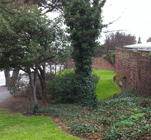 Hilbre View